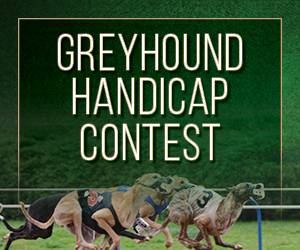Greyhound Handicap Contest