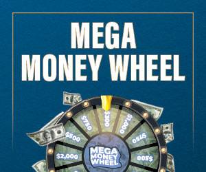 Mega Money Wheel