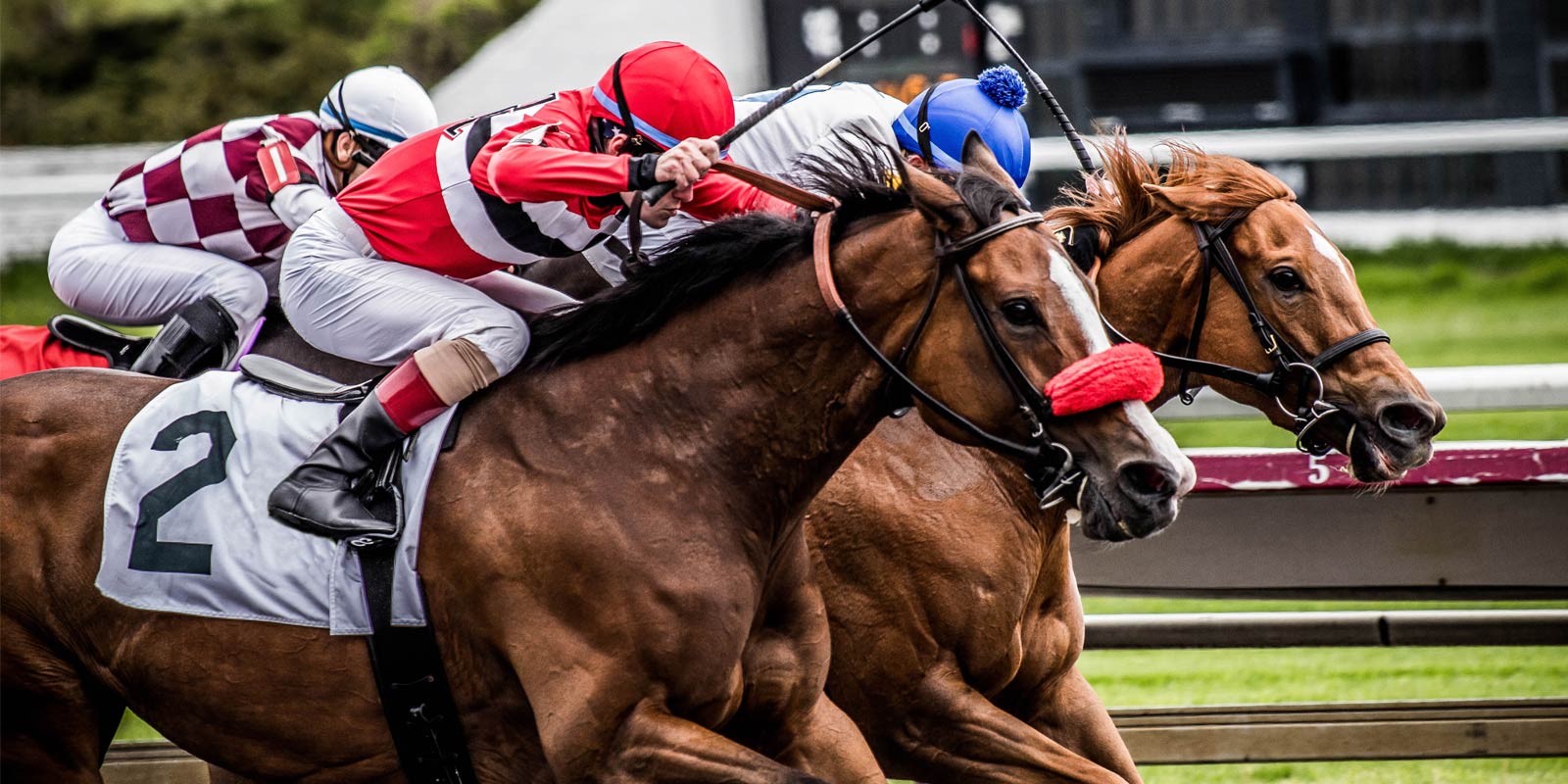 Jockeys on horses at the races.